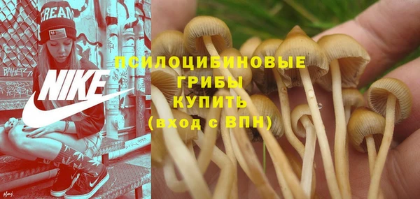 мет Богданович