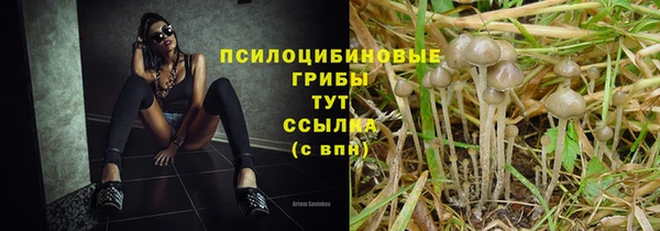 мет Богданович